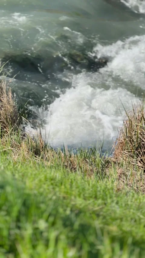 Roaring river, close up, natures power Stock Footage 240859503
