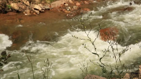 Roaring River Stock Footage 114262508