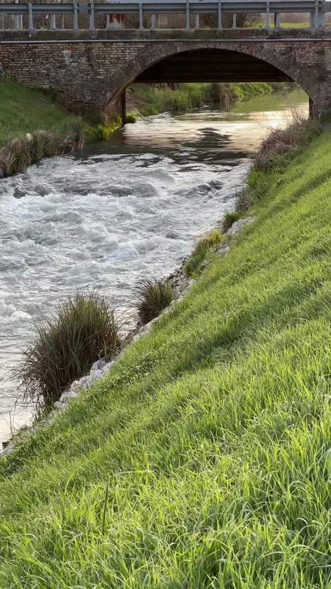 Roaring river, green grass, nature background Stock Footage 240859344