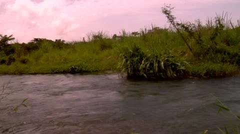 Roaring River, Jamaica Stock Footage 22159352