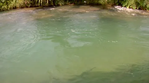 Roaring River, Jamaica Stock Footage 22159360