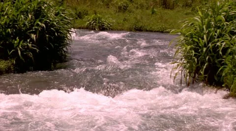 Roaring River, Jamaica Stock Footage 22159371
