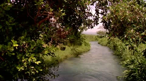 Roaring River, Jamaica Stock Footage 22159374