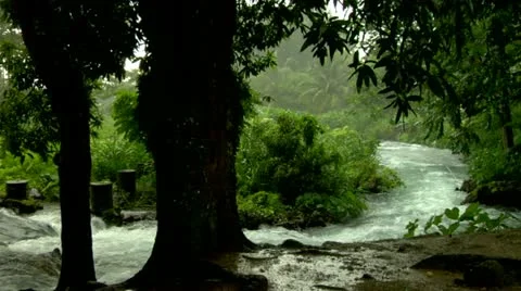 Roaring River, Jamaica Stock Footage 22159376