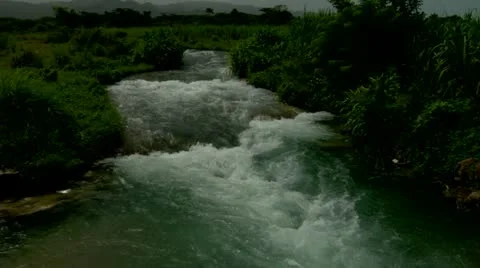 Roaring River, Jamaica Stock Footage 22159463