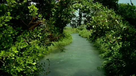 Roaring River, Jamaica Stock Footage 22159465
