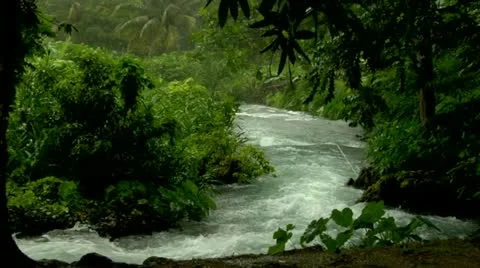 Roaring River, Jamaica Stock Footage 22159470