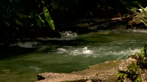Roaring River, Jamaica Stock Footage 22159500