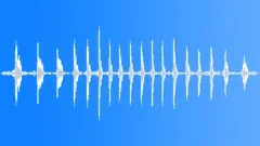 Roaring sequence of a big male lion in the African nightSound Effect