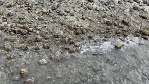 The roaring tides 库存影片 246115953