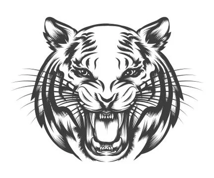 Roaring Tiger face Stock Illustration