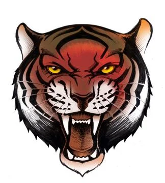 Roaring tiger Stock Illustration