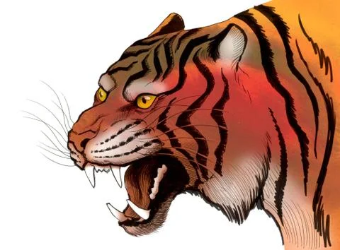 Roaring tiger Stock Illustration