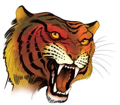 Roaring tiger Stock-Illustration