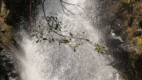 Roaring waterfall with tree branch in front, tripod shot in Costa Rica Vídeo Stock 98712944
