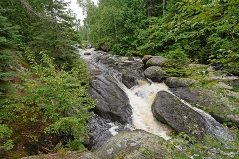 Roaring Waters in the Pines Stockfoto's