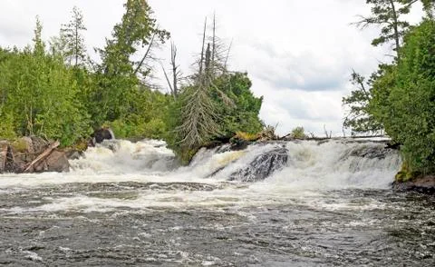 Roaring Waters in the Wilderness Stockfoto's
