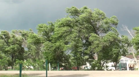 Roaring Winds 스톡 동영상 54755057