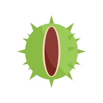 Roast chestnut icon flat vector. Tree fruit Illustrazione stock
