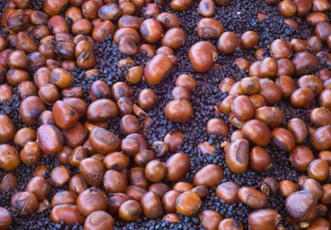 Roast chestnut Stock Photos