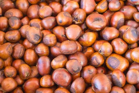 Roast chestnut Stock Photos