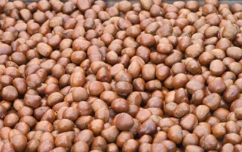 Roast chestnut Foto stock