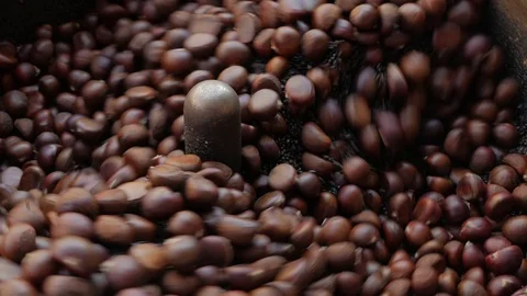 Roast chestnuts in roasting machine. Stock Footage 84323496
