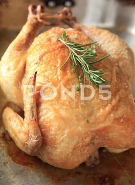 Roast chicken with fresh herbs Stock Photos