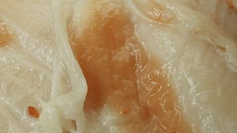 Roast chicken surface macro close up presentation slowly rotating stock foota Stock Footage 344698467