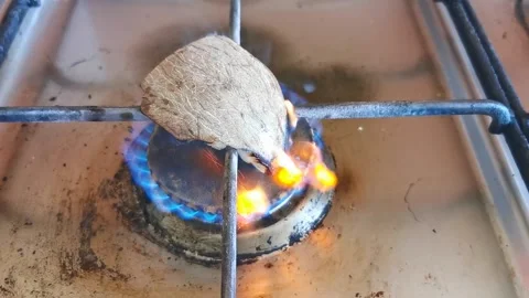 Roast Coconut Stock Footage 168450868