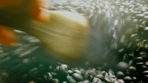 Roast coffee Stock-Footage 159822043