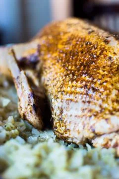 Roast duck Stock Photos