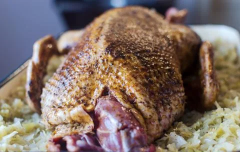 Roast duck Stock Photos