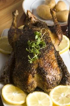 Roast duck Stock Photos
