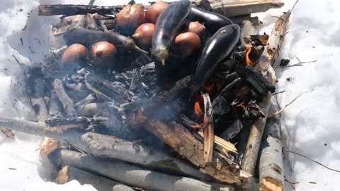 Roast on embers Stock Footage 181232110