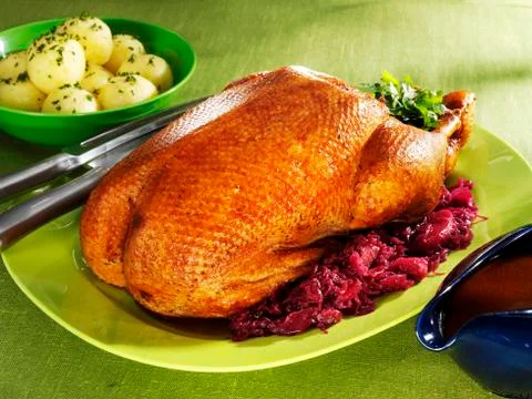 Roast goose with red cabbage Stock-Fotos
