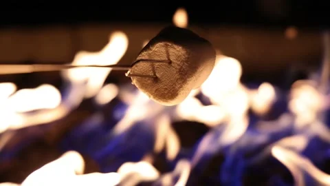 Roast Marshmallow Over Large Fire Slow Motion 스톡 동영상 167738873
