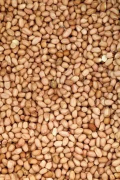 Roast peanut Stock Photos