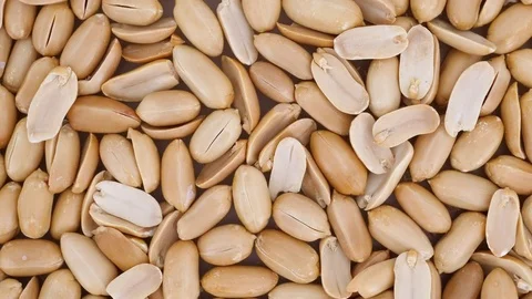 Roast Peanuts Spinning - Top view Stock-Footage 85030929