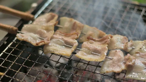 Roast pork 2 Stock Footage 224348235