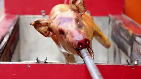 The roast pork process uses an automatic grilling machine Stock Footage 270347757
