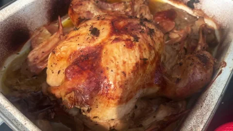 Roast Turkey Stock Footage 289574345
