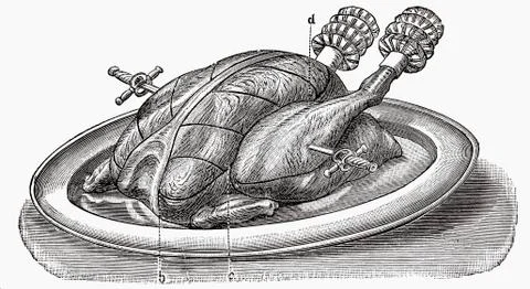 Roast turkey (illustration) Illustrazione stock