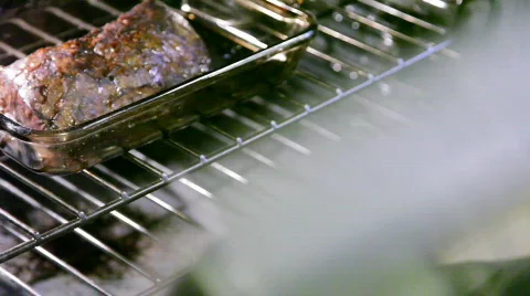 Roast1 Video stock 343876