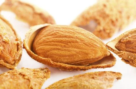 Roasted almonds Close up view of roasted almonds in shell Copyright: xZoon... Stock Photos