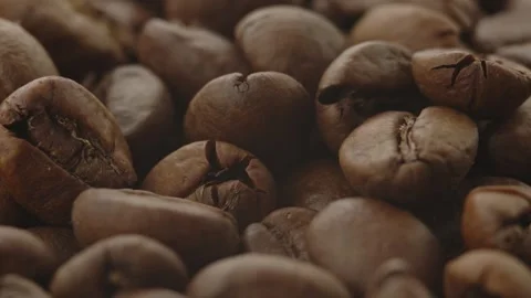 Roasted aromatic coffee beans are spinning Stock Footage 292901287