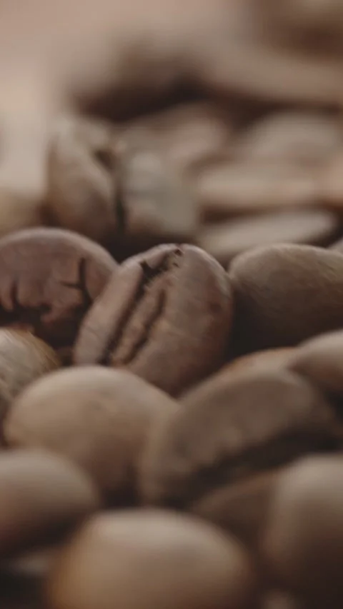 Roasted aromatic coffee beans are spinning Stock Footage 292902337