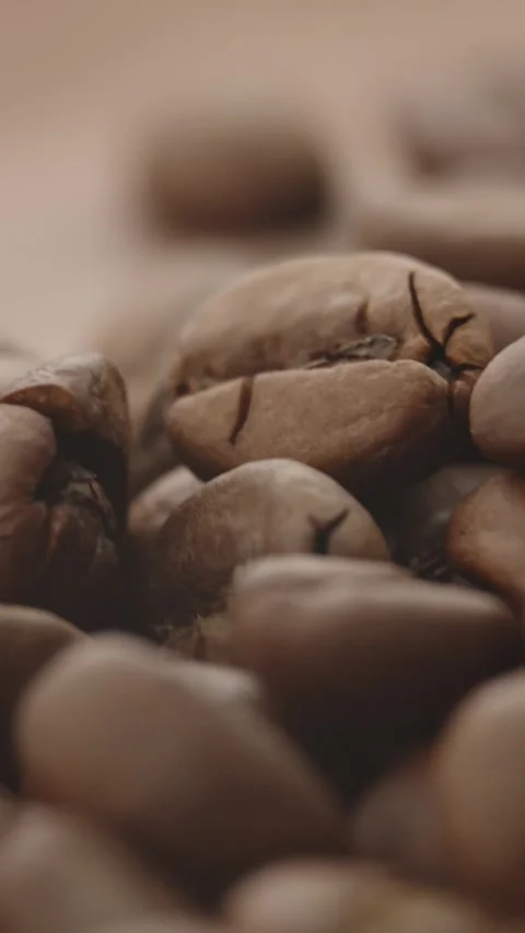 Roasted aromatic coffee beans are spinning Stock Footage 292902473