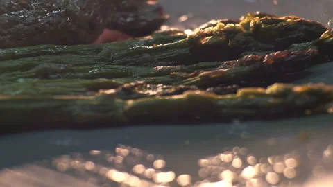 Roasted asparagus with meat on background on dish. Close up shot of plate with Stock Footage 147375825
