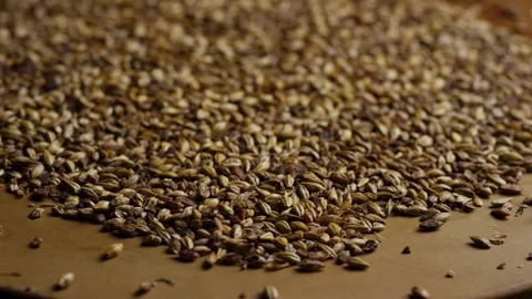 Roasted barley malt grains rotating on a brown surface Stock Footage 327947559